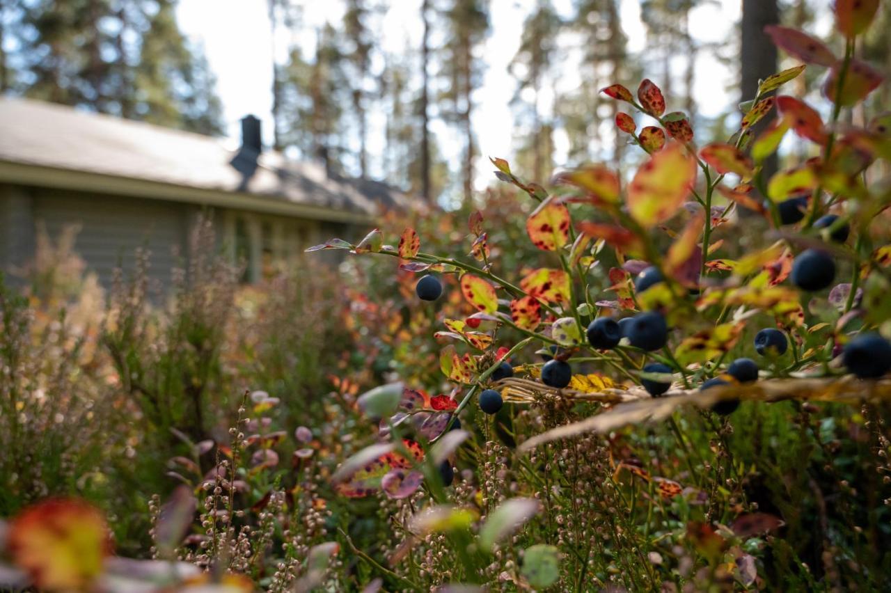 Saimaan Kultaranta Villa Puumala Buitenkant foto