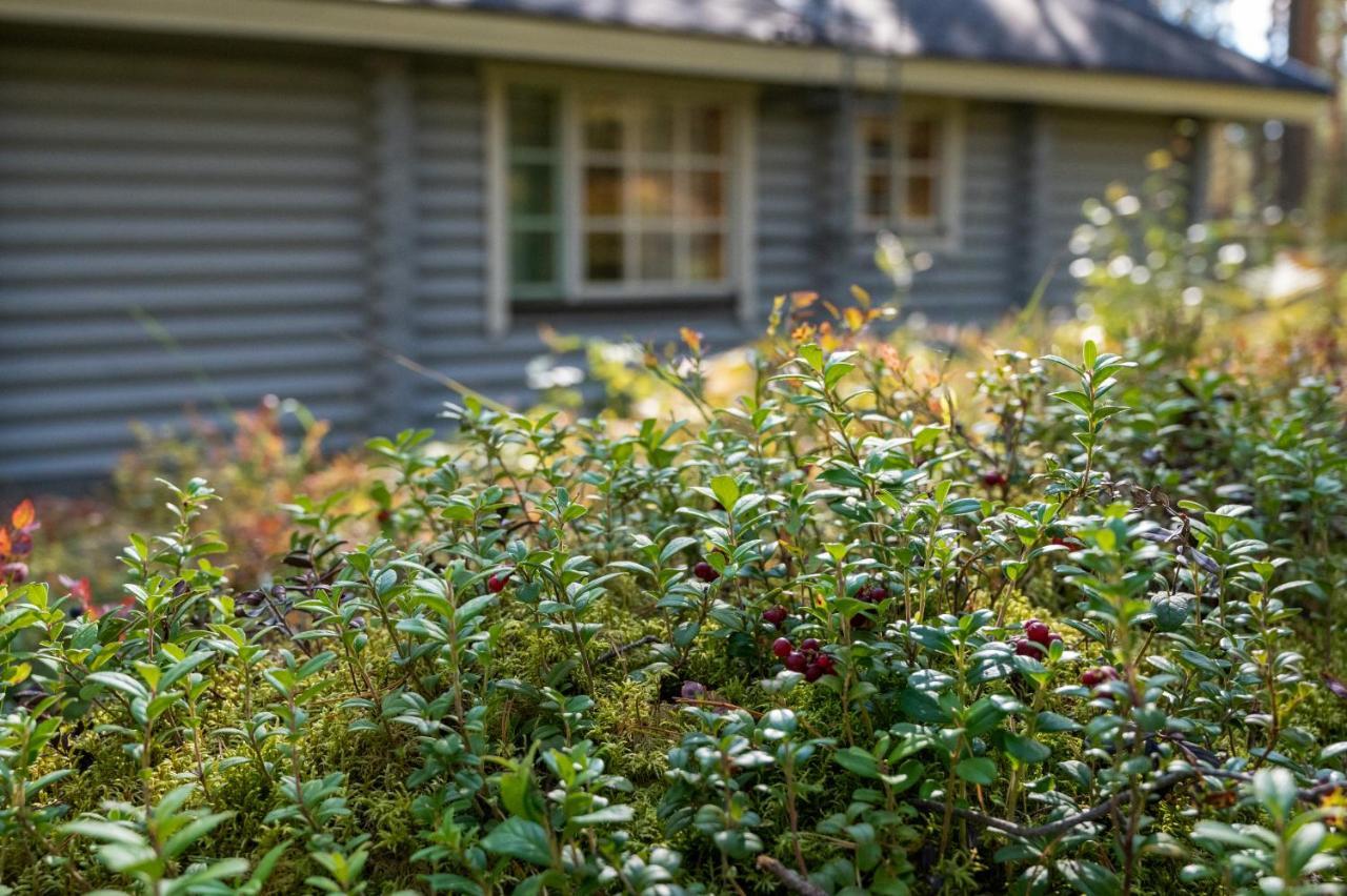 Saimaan Kultaranta Villa Puumala Buitenkant foto