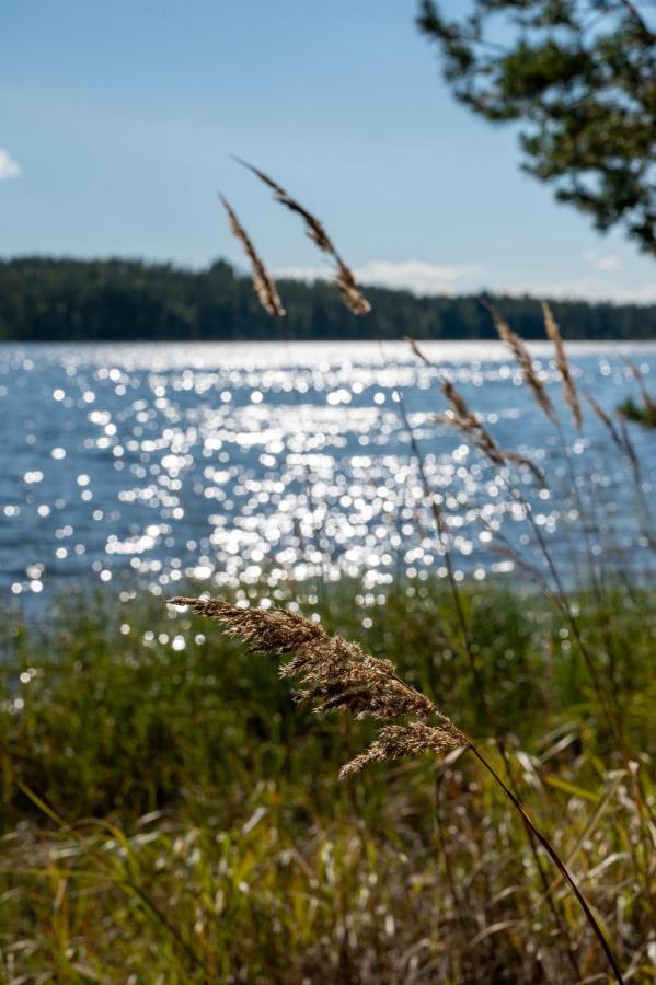 Saimaan Kultaranta Villa Puumala Buitenkant foto